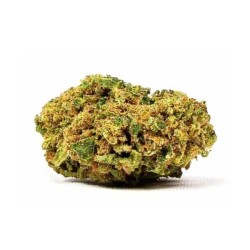 Fleurs de Mimosa Evo (Import U.S) - Feelgood CBD