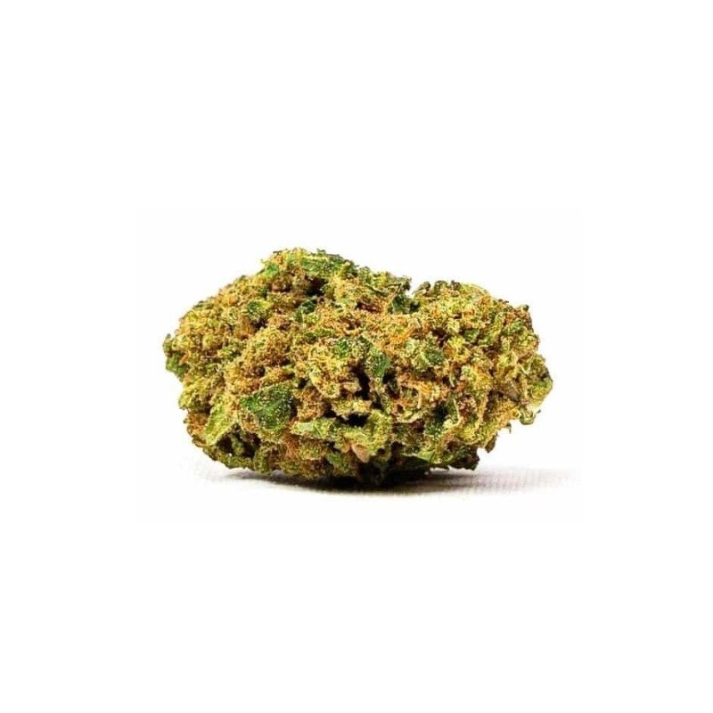 Fleurs de Mimosa Evo (Import U.S) - Feelgood CBD