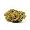 Fleurs de Mimosa Evo (Import U.S) - Feelgood CBD