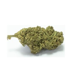 Fleurs de Jack Skywalker -...