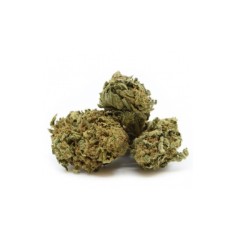 Fleurs de Himalayan Kush - Feelgood CBD