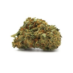 Fleurs de Cookies Haze -...