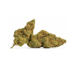 Fleurs G13 Haze 100g...