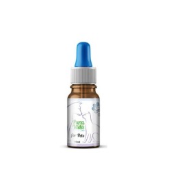 Huile de chanvre pour animaux 10% CBD 10ml - Pura Vida