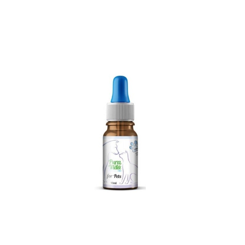 Huile de chanvre pour animaux 10% CBD 10ml - Pura Vida